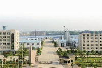 J9集团直营,油茶种植出产加工销售,植物油种植出产加工销售