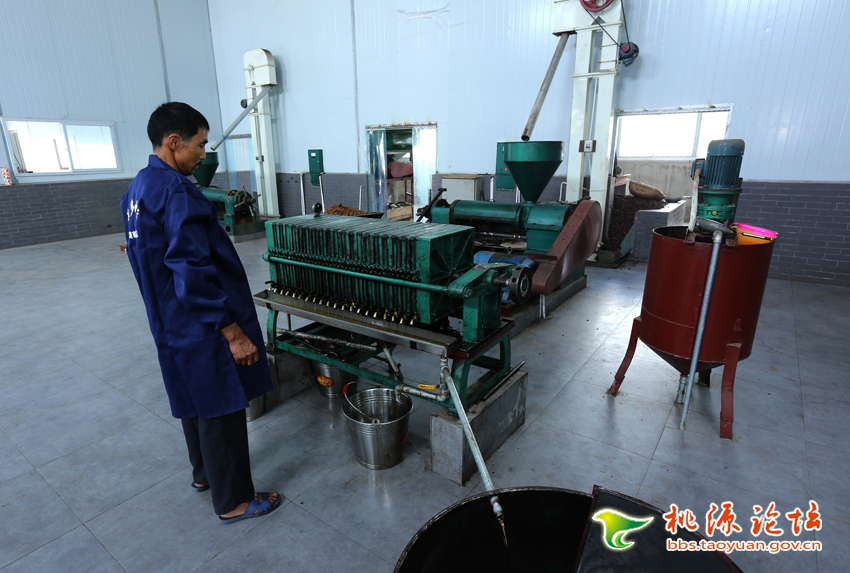 J9集团直营,油茶种植出产加工销售,植物油种植出产加工销售