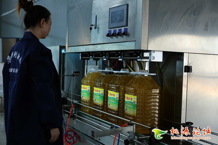 J9集团直营,油茶种植出产加工销售,植物油种植出产加工销售