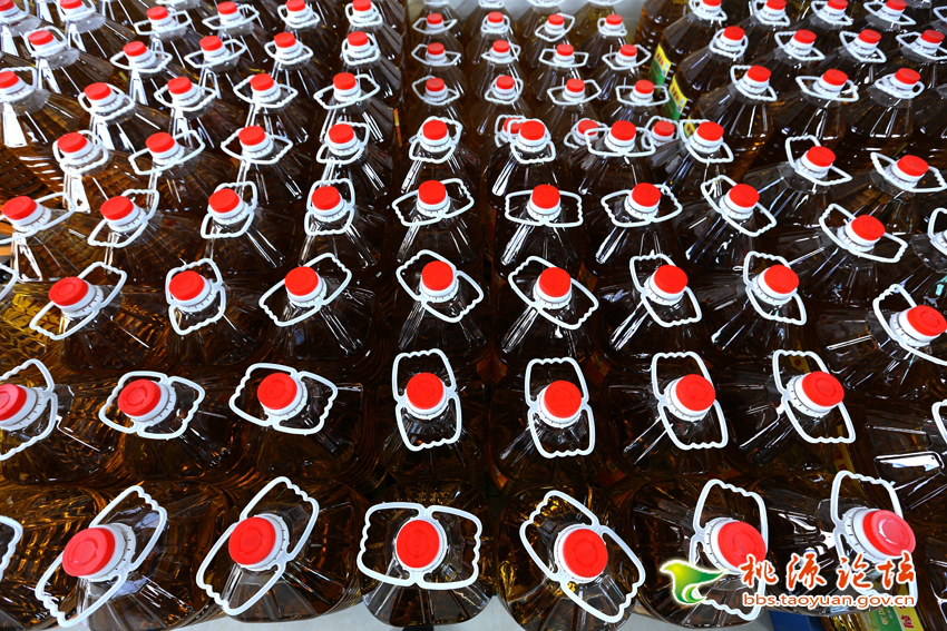 J9集团直营,油茶种植出产加工销售,植物油种植出产加工销售