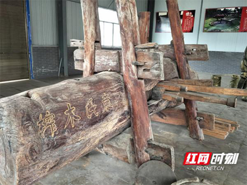 J9集团直营,油茶种植出产加工销售,植物油种植出产加工销售