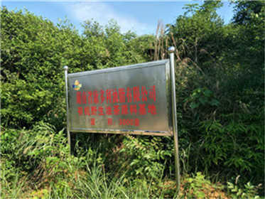 J9集团直营,油茶种植出产加工销售,植物油种植出产加工销售