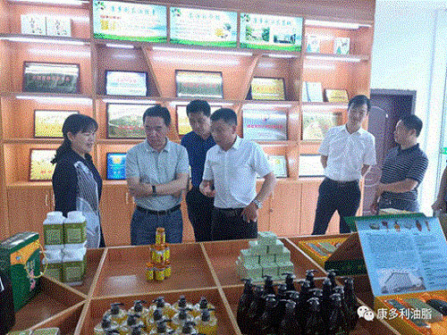 J9集团直营,油茶种植出产加工销售,植物油种植出产加工销售